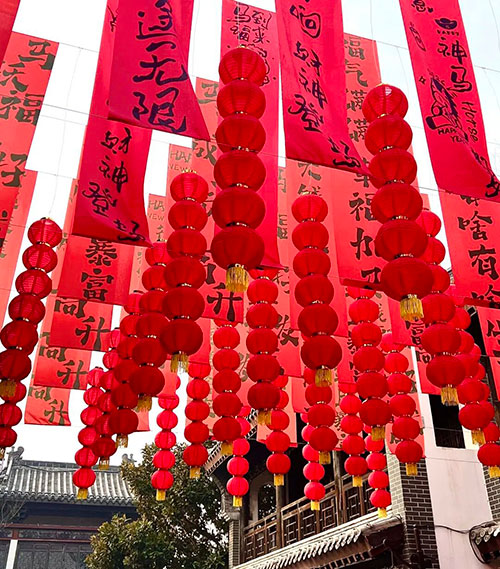 一街灯火迎新春，年味尽在龙园金街5.jpg